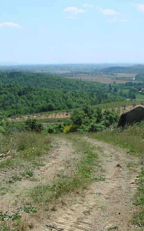 Civitella: Trädgård