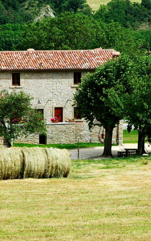 Marradi: Utomhus, Visningar