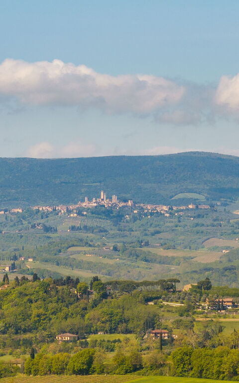 Villa Ferdinando: Utomhus