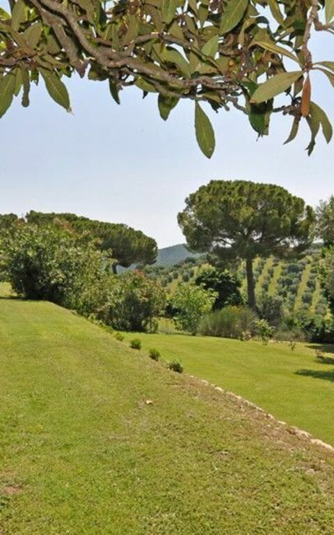 Il Principe: Visningar