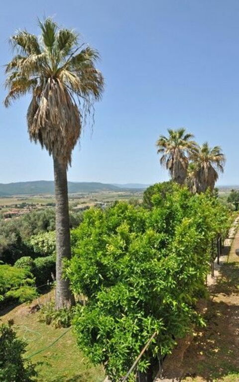 Il Principe: Exteriör, Trädgård, Utomhus