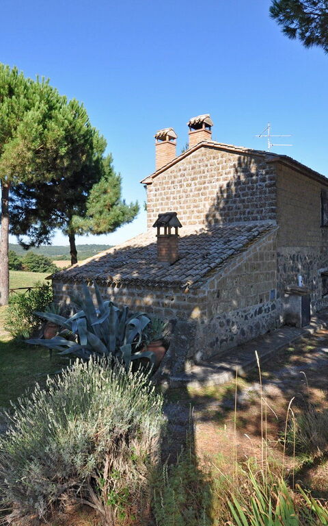 Ginestrella: Exteriör, Trädgård