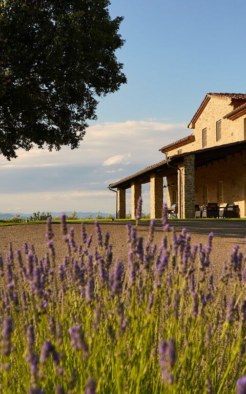 Villa Agazzi: Exteriör, Trädgård, Utomhus