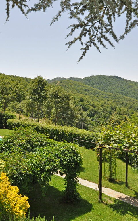 Villa Dame: slå samman, Trädgård