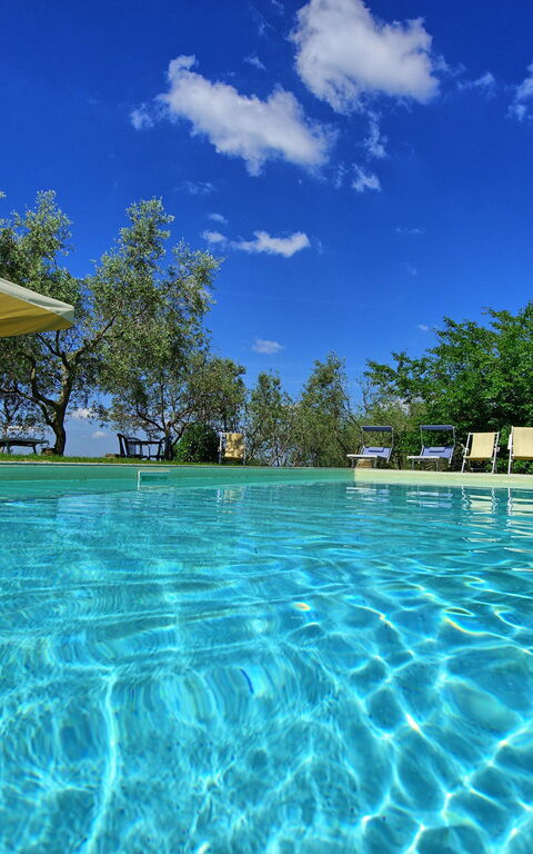 Panzalla: slå samman