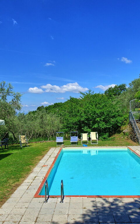 Panzalla: slå samman, Trädgård