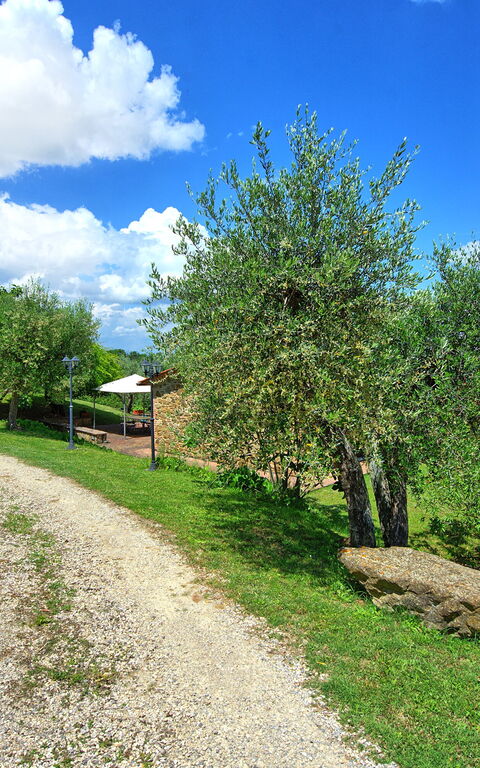 Villa Ulivi: Exteriör, Trädgård, Utomhus