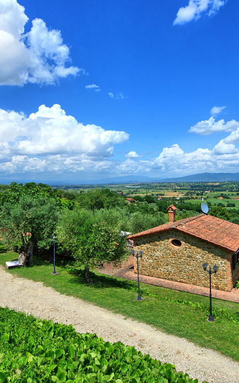 Villa Ulivi: Exteriör, Sommar, Trädgård, Utomhus, Visningar