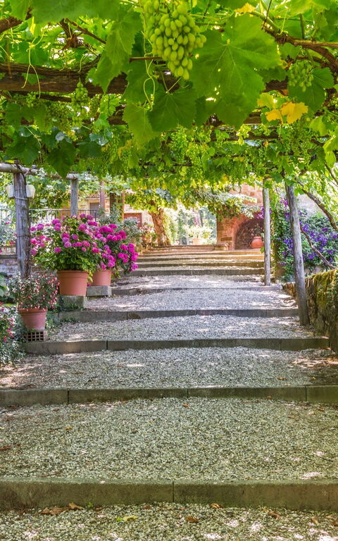 Palazzo Rosadi: Trädgård