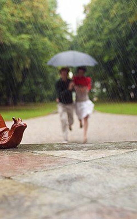 Ca' Marcello: Trädgård, Utomhus