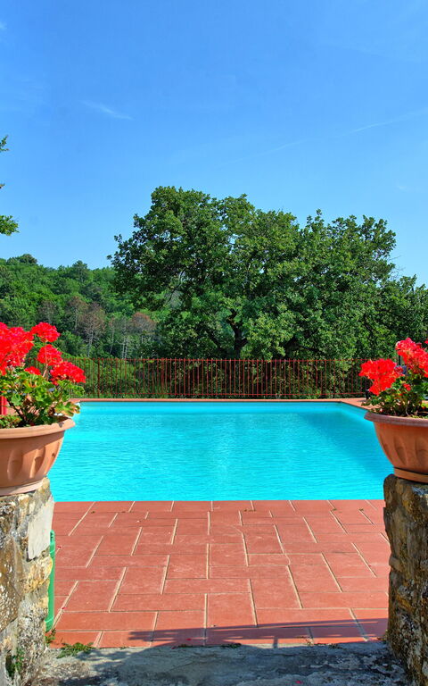 Querciolaia: slå samman