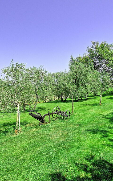 Villa Poggetta: Trädgård