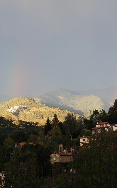 Villa Il Nido: Utomhus, Visningar