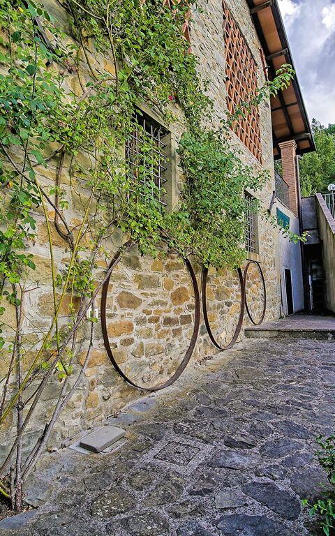 Villa Il Nido: Trädgård, Utomhus