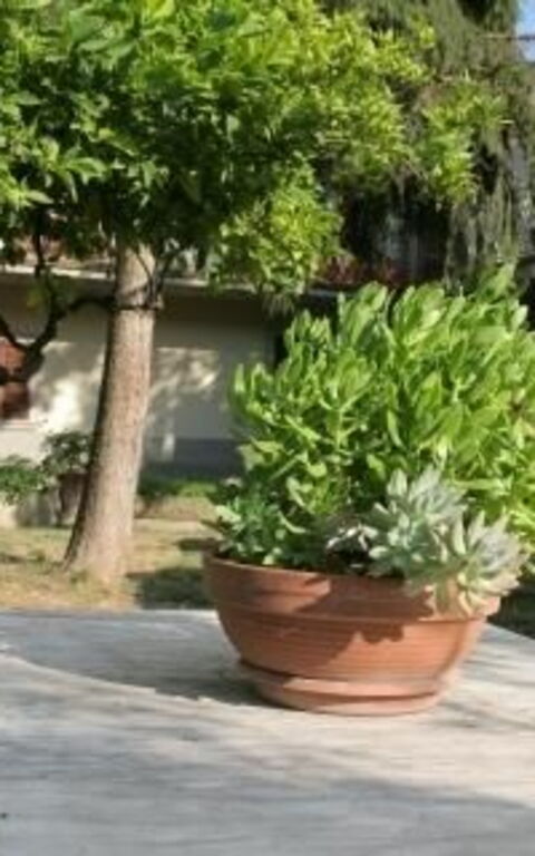 ***villa Contea: Trädgård, Utomhus