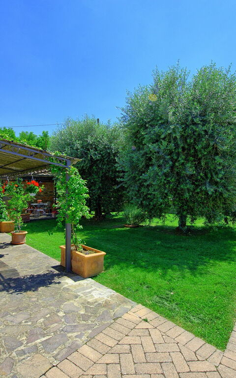 Villa Giare: Trädgård, Utomhus