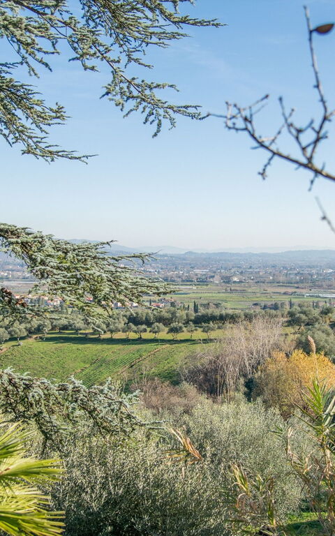 Villa Pedone: Utomhus