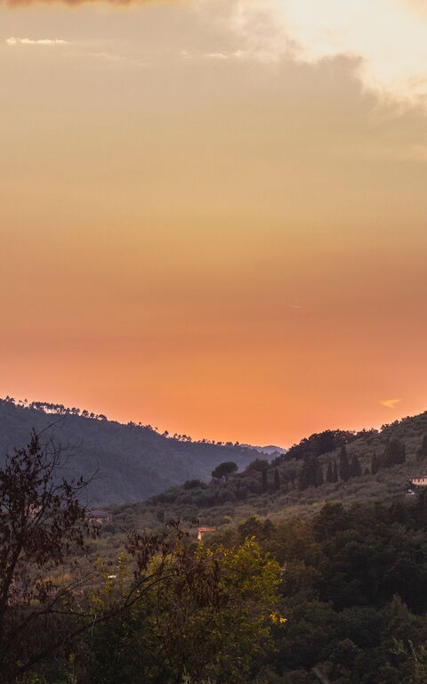 Villa Pedone: Utomhus