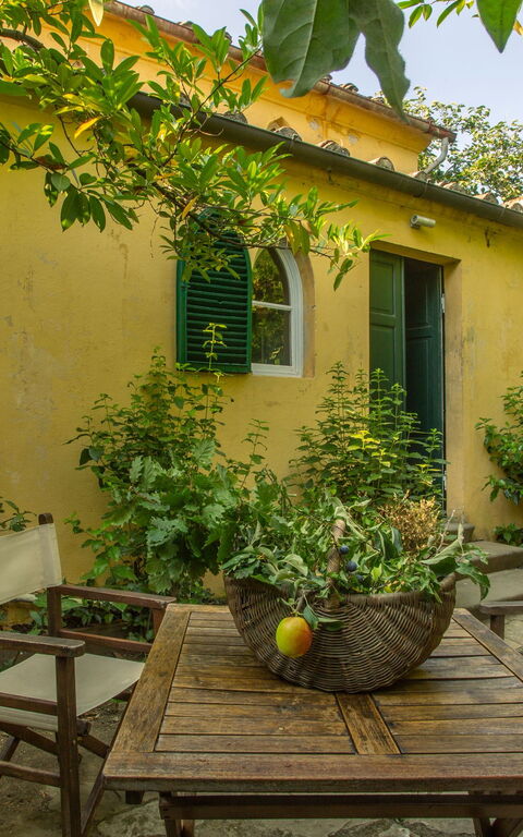 Villa Pedone: Trädgård, Utomhus