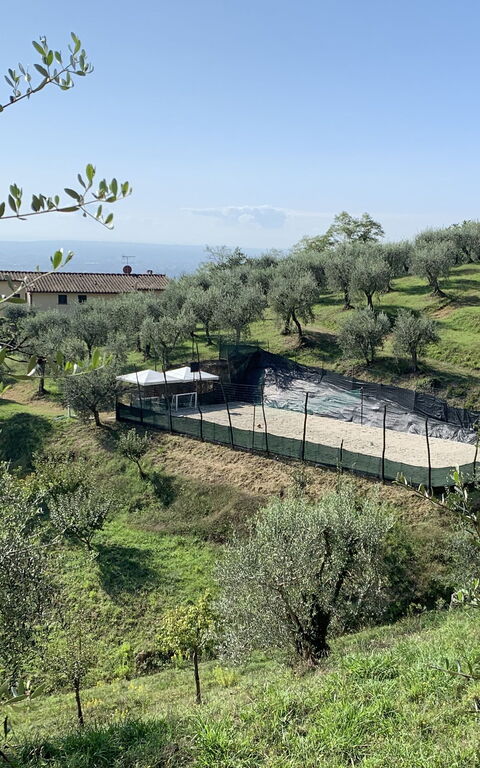 Villa Le Ferrette: Utomhus