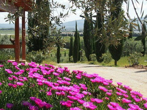 Villa Giulia Follonica