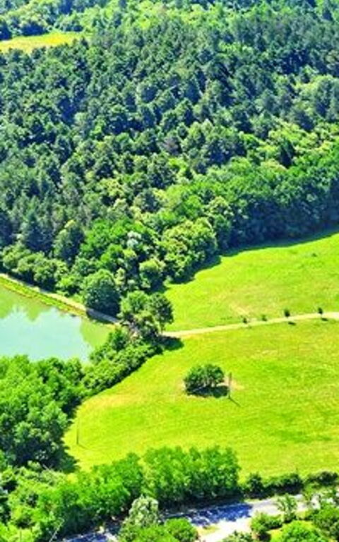 Villa Sant' Angelo: Trädgård, Visningar