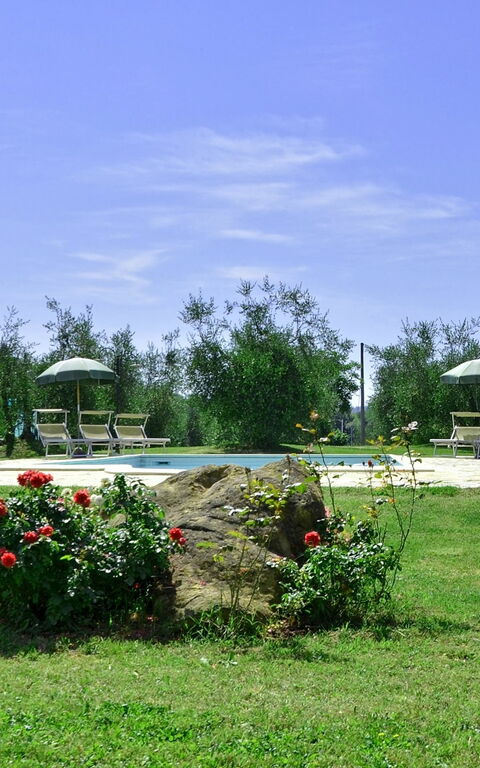 Villa Buonaparte: Trädgård