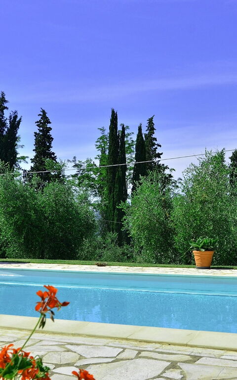 Villa Buonaparte: slå samman, Trädgård