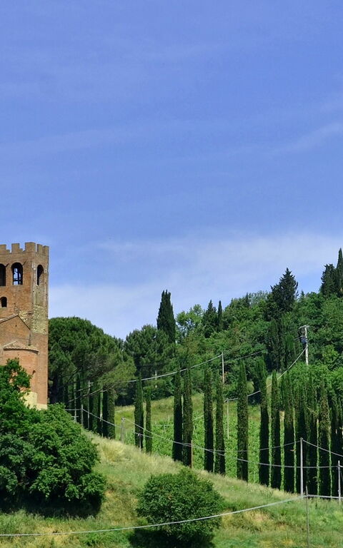 Villa Buonaparte: Trädgård