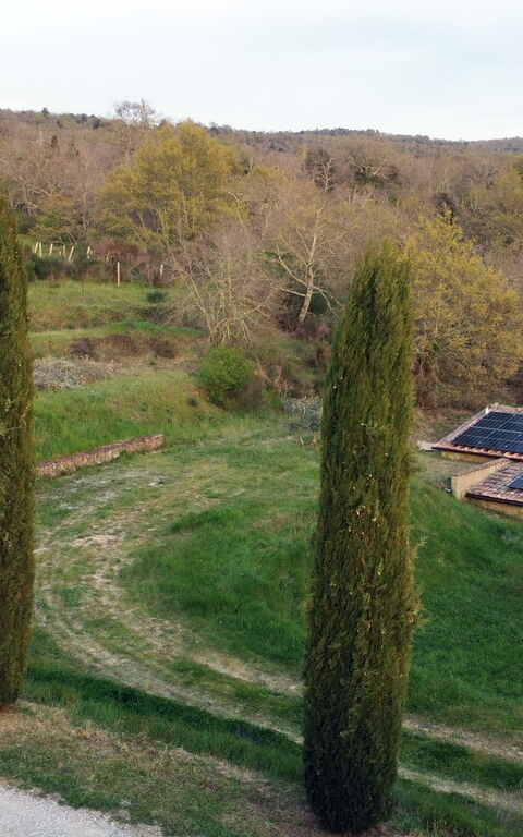 Villa Gerlino: Exteriör, Utomhus, Visningar