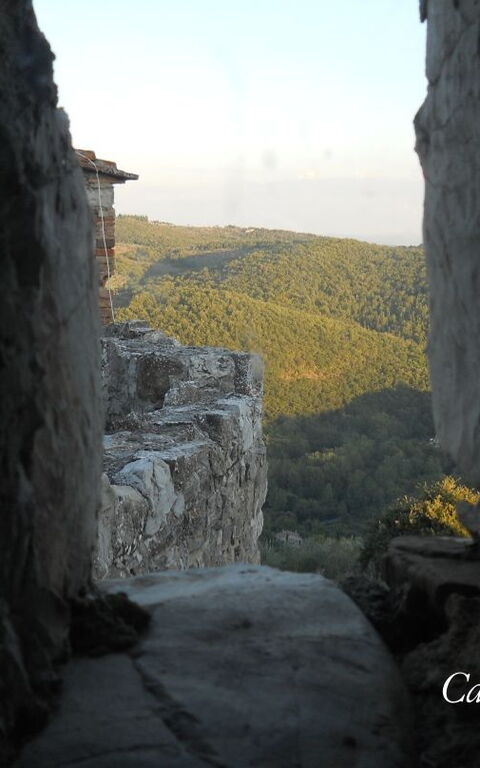 Il Nibbio Del Castello Di Monteluco
