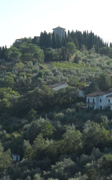 Il Nibbio Del Castello Di Monteluco