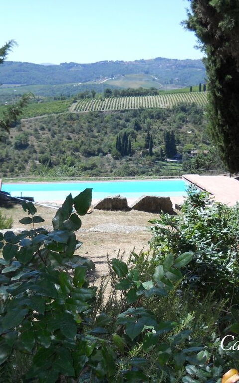 Il Nibbio Del Castello Di Monteluco