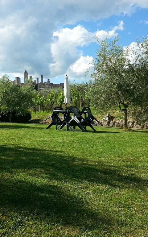 Podere Degli Olivi: Trädgård