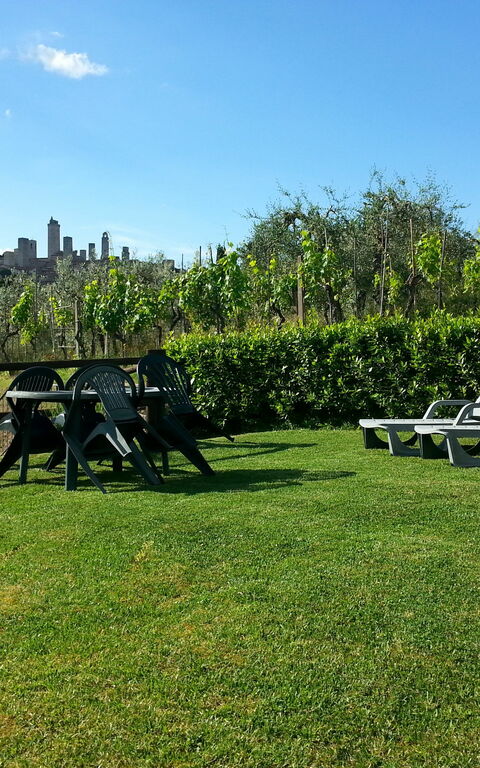 Podere Degli Olivi: Trädgård, Utomhus