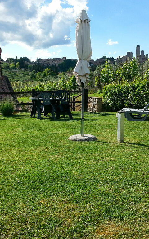 Podere Degli Olivi: Trädgård