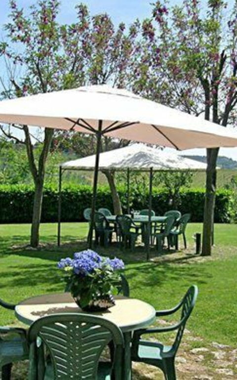 Podere Degli Olivi: Trädgård