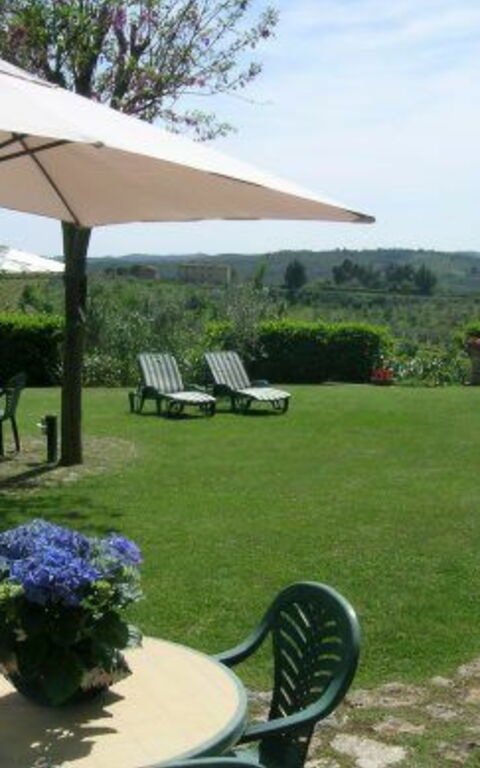 Podere Degli Olivi: Trädgård