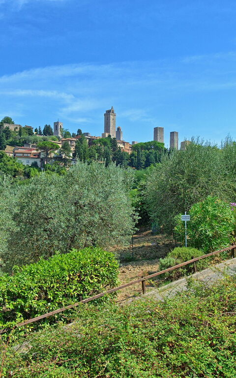 Poggiluglio: Utomhus