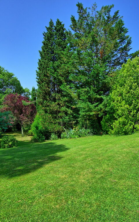 Villa Campogialli: Trädgård