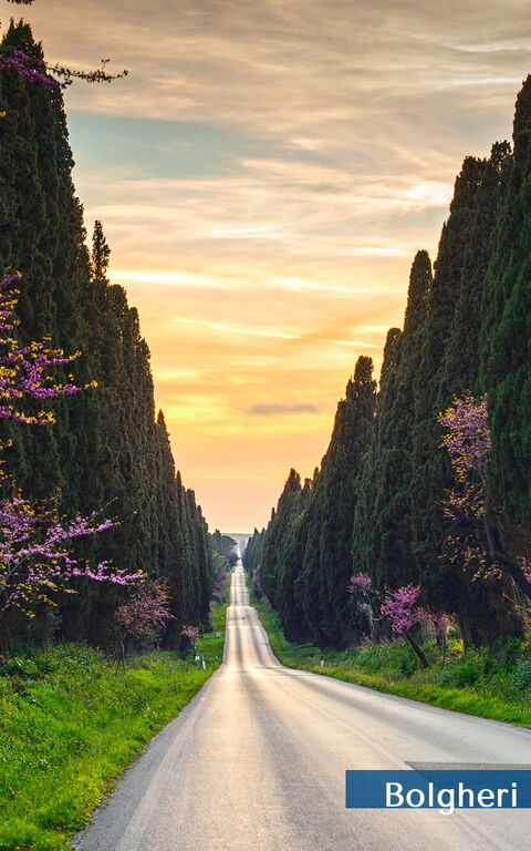 Guardistallo: Exteriör, Visningar