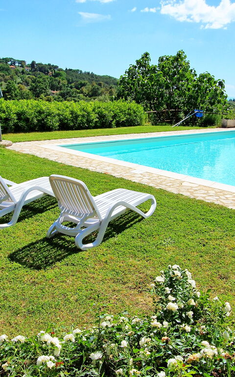 Guardistallo: slå samman, Trädgård