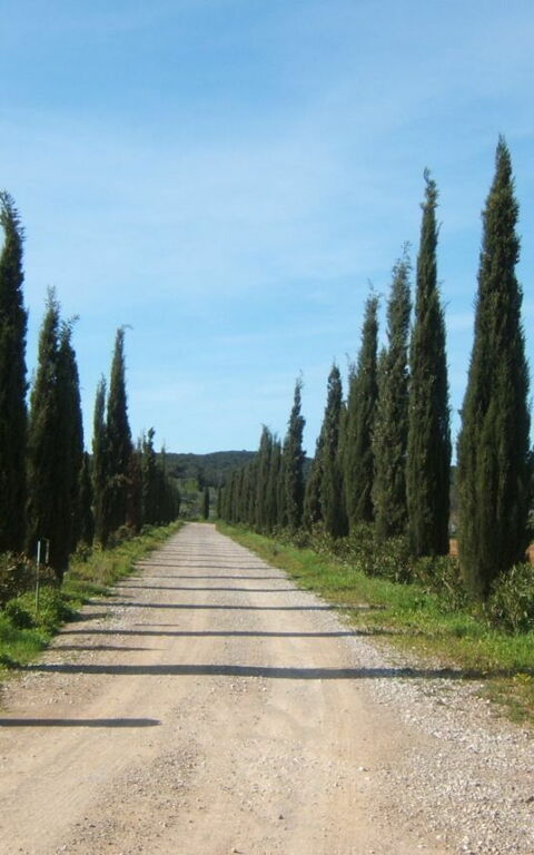 Villa Dei Cipressi: Exteriör, Huvudentré, Utomhus