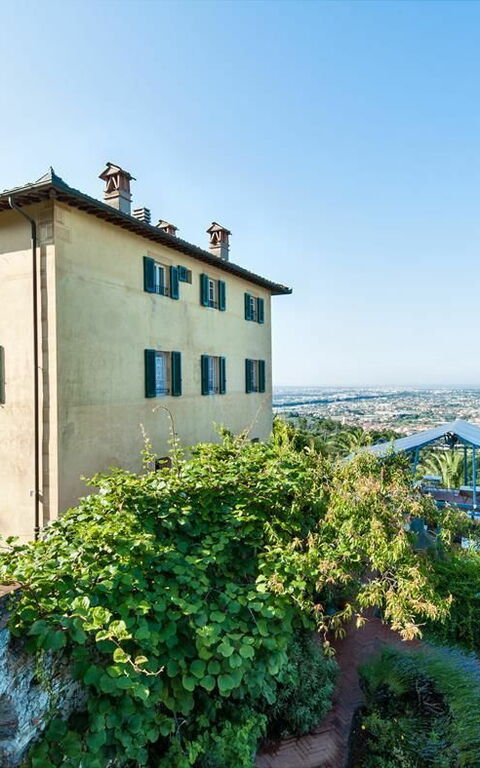 Villa Camaiore: Exteriör, Trädgård