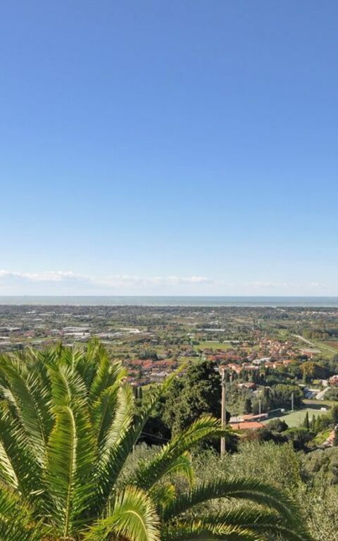 Villa Camaiore: Trädgård, Visningar