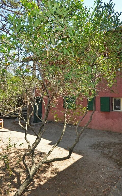 Casamare: Trädgård, Utomhus