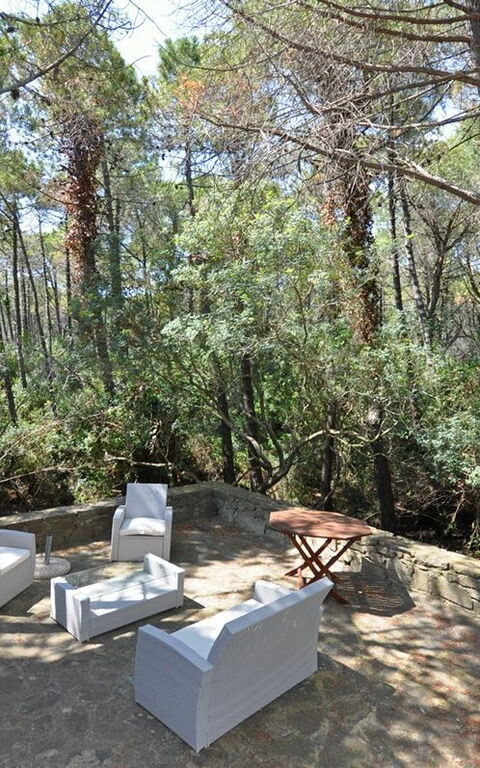 Casamare: Trädgård