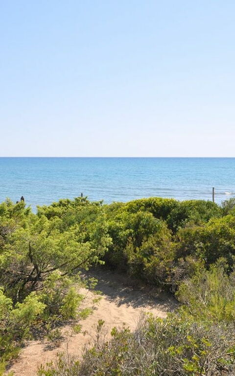 Casamare: Utomhus, Visningar