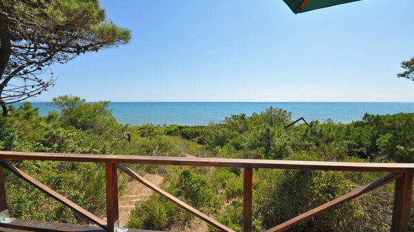 Casamare: Visningar