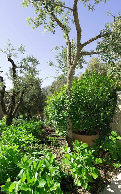 Villa Nova: Exteriör, Utomhus